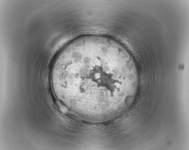 X0000093590679200711051138