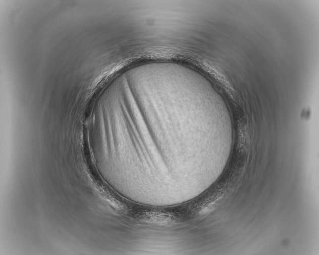 X0000093590681200711051138