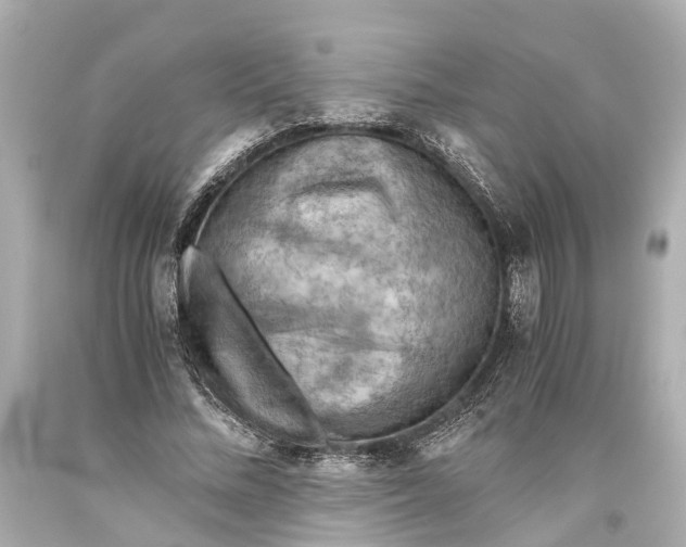 X0000093590684200711051138