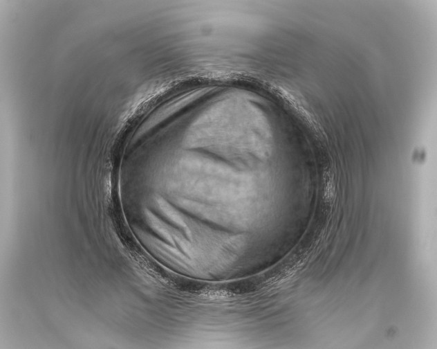 X0000093590685200711051138