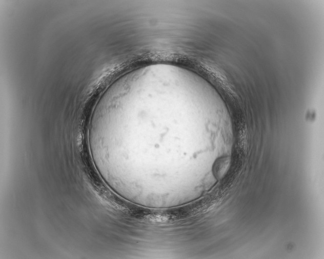 X0000093590687200711051138
