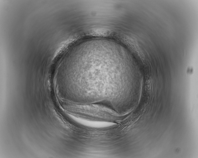 X0000093590688200711051138