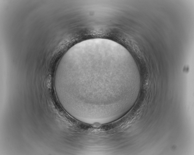X0000093590689200711051138