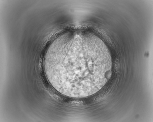 X0000093590691200711051138