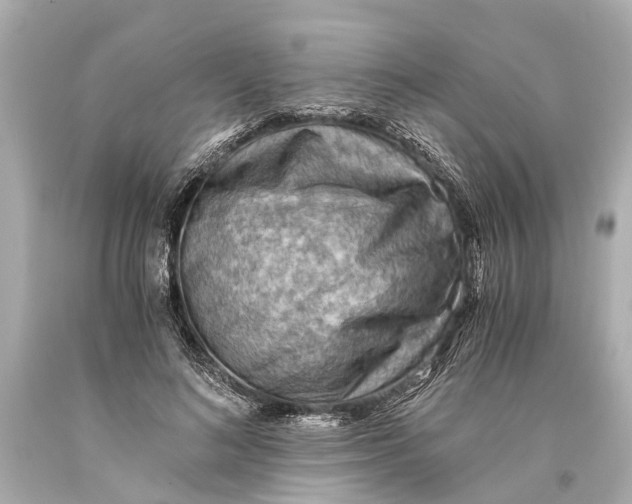 X0000093590692200711051138
