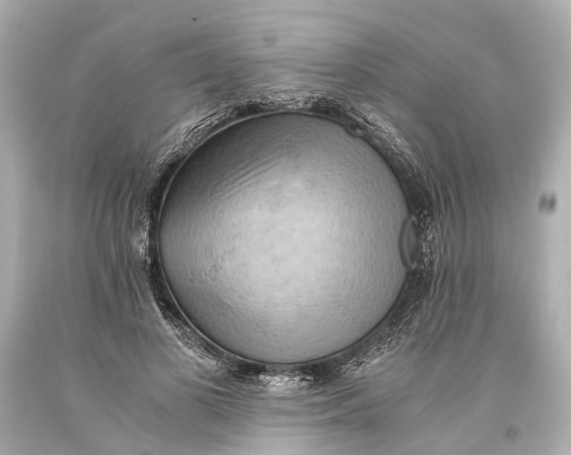 X0000093590693200711051138