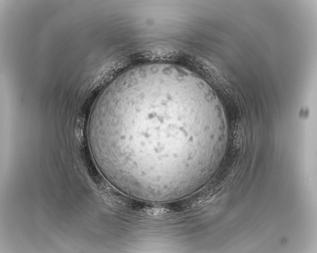 X0000093590695200711051138