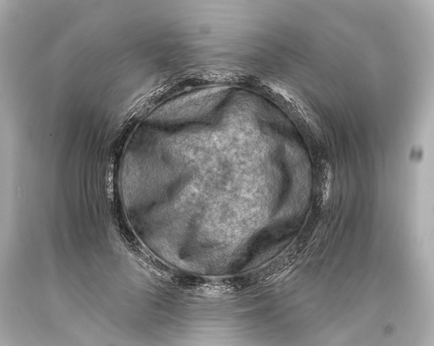 X0000093590696200711051138