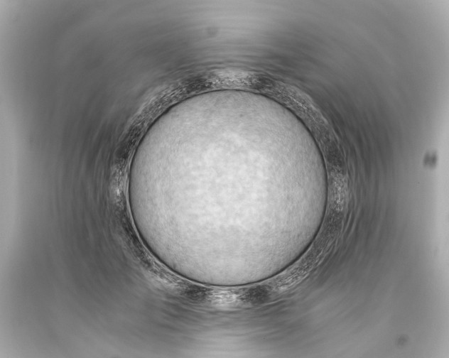 X0000093590701200711051138