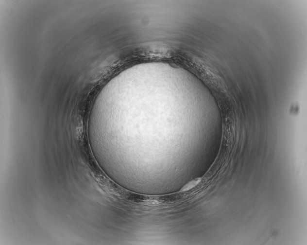 X0000093590704200711051138