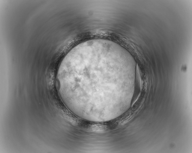 X0000093590708200711051138