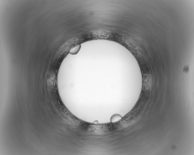 X0000093590713200711051138