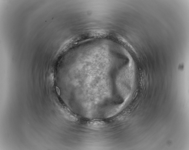 X0000093590716200711051138