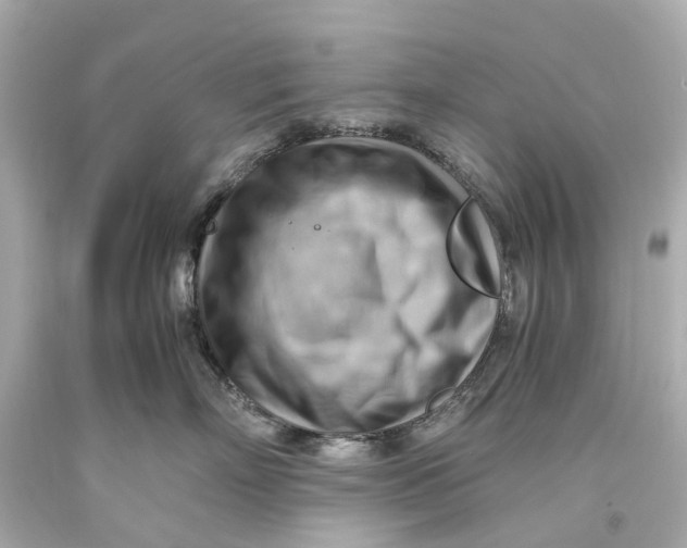 X0000093590718200711051138