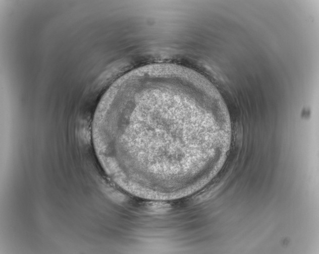 X0000093590719200711051138