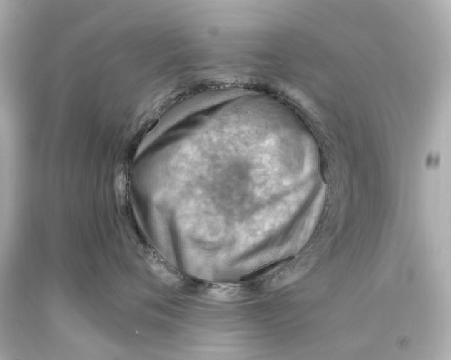 X0000093590720200711051138