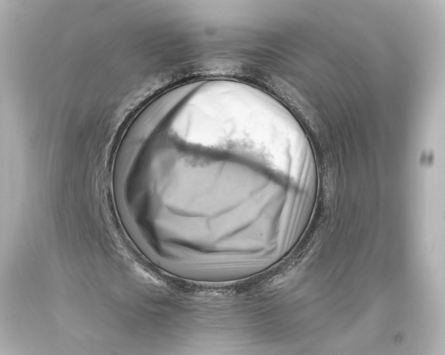 X0000093590721200711051137