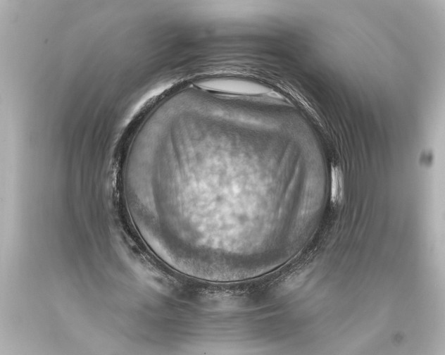 X0000093590723200711051137