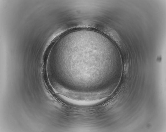 X0000093590724200711051137