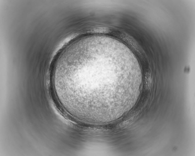 X0000093590726200711051137