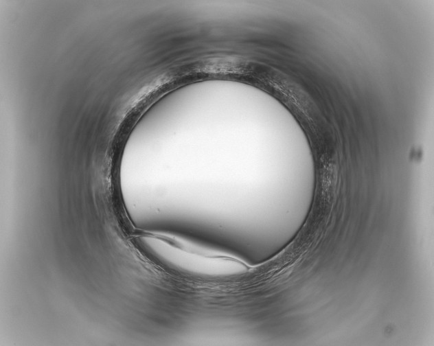 X0000093590727200711051137