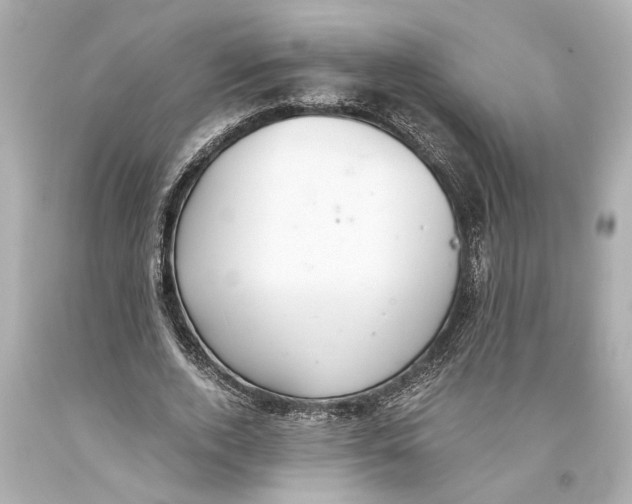 X0000093590728200711051137