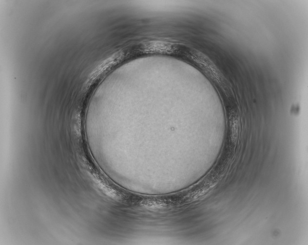 X0000093590729200711051137