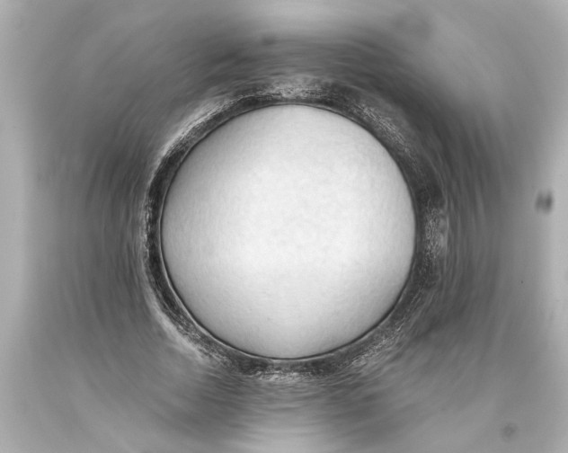 X0000093590730200711051137