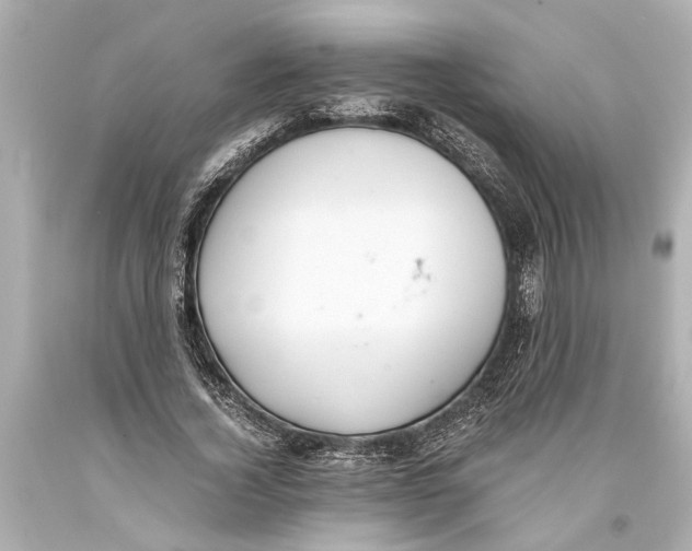 X0000093590732200711051137