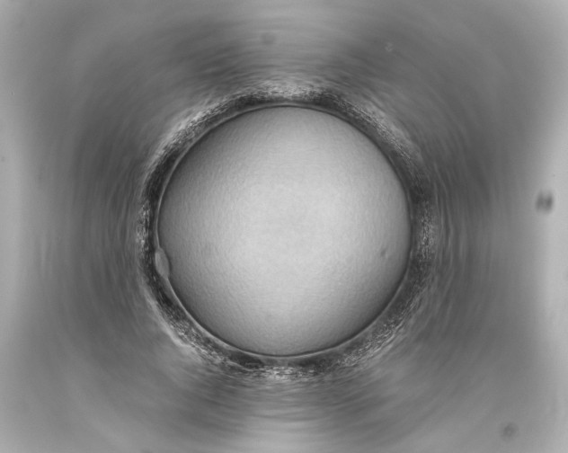 X0000093590736200711051137