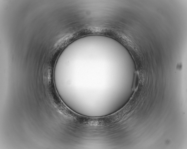 X0000093590740200711051137