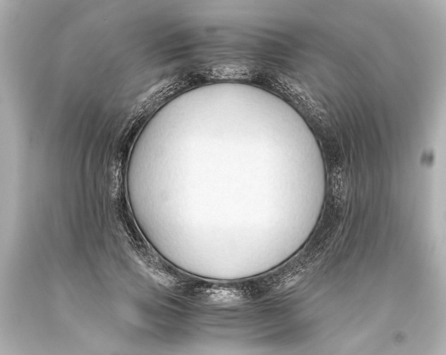 X0000093590741200711051137