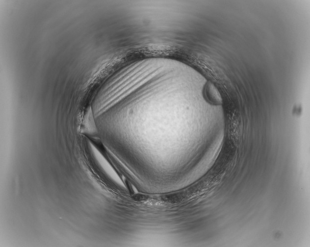 X0000093590742200711051137