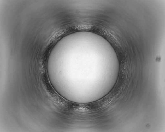 X0000093590743200711051137
