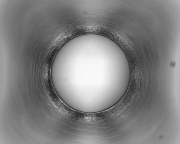 X0000093590744200711051137