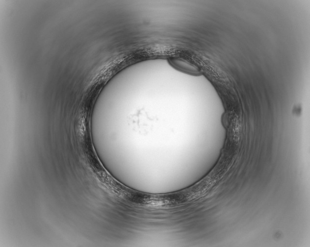 X0000093590746200711051137