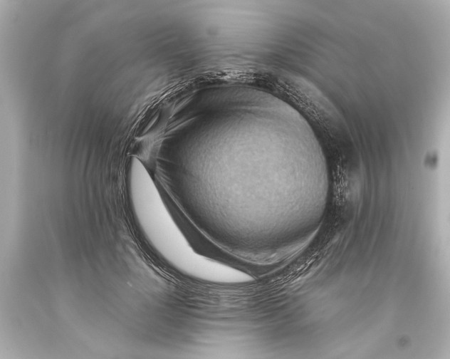 X0000093590748200711051138