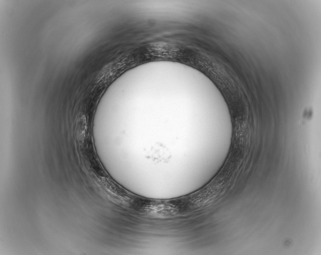 X0000093590752200711051138