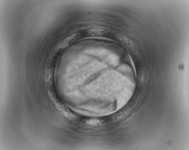 X0000093590759200711051138