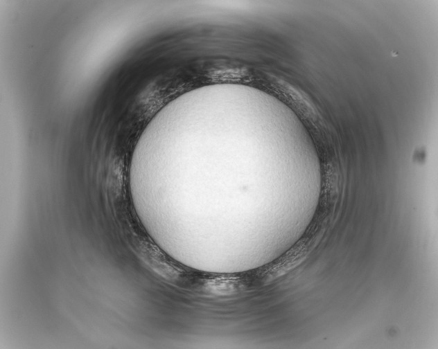 X0000093590761200711051138