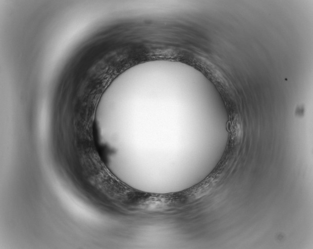 X0000093590764200711051138