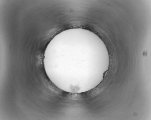 X0000093590768200711051138