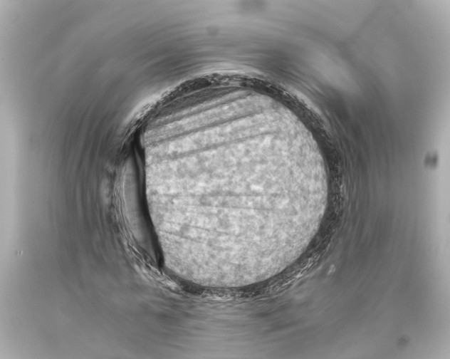 X0000093590775200711051137