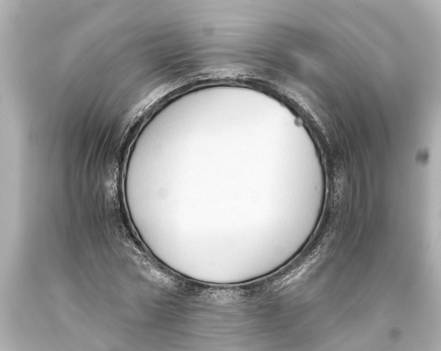 X0000093590778200711051137