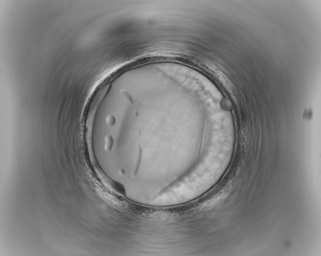 X0000093590779200711051137