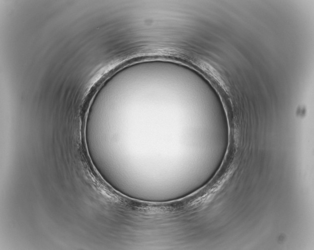 X0000093590781200711051137