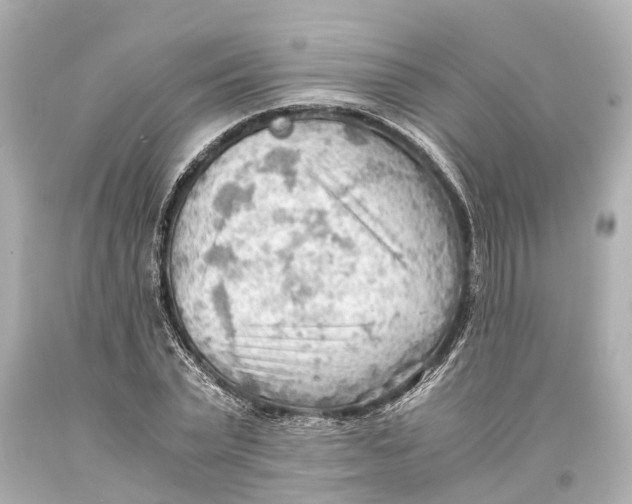 X0000093590783200711051137