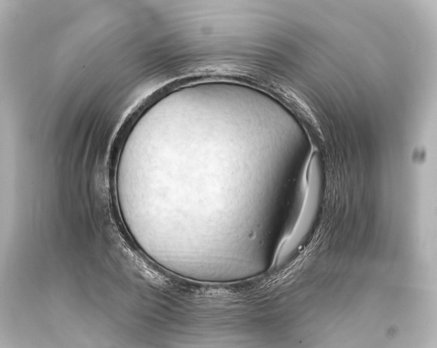 X0000093590784200711051137