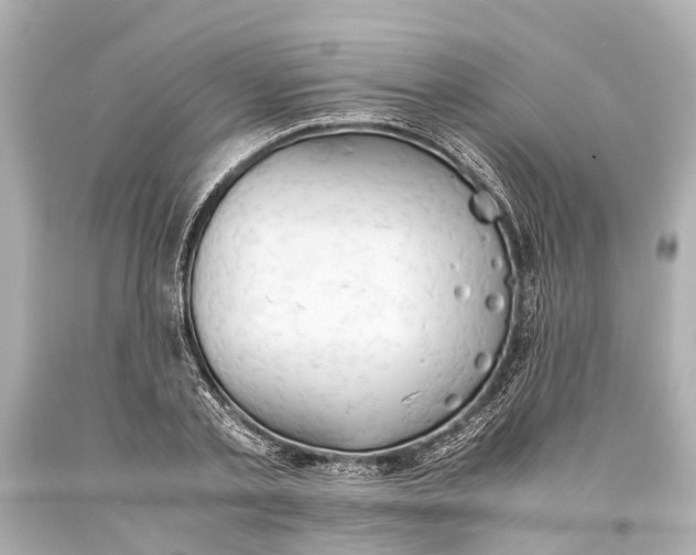 X0000093590789200711051137