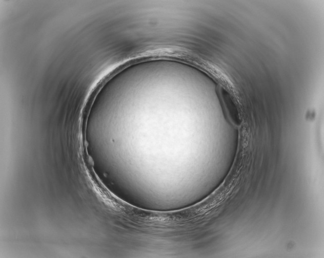 X0000093590792200711051137
